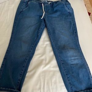Torrid pull over jeans